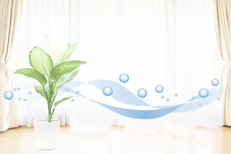 KHÍ SẠCH NHÀ THƠM - GIA ĐÌNH VUI KHỎE